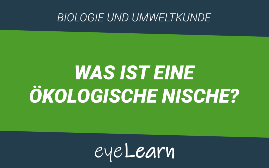 Was ist eine ökologische Nische?