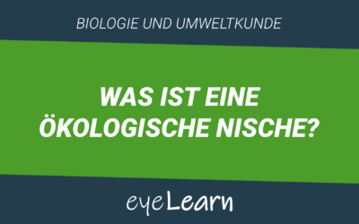 Was ist eine ökologische Nische?
