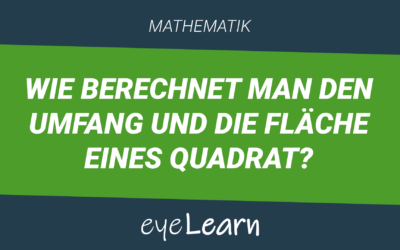 Wie berechnet man den Umfang und die Fläche eines Quadrat?