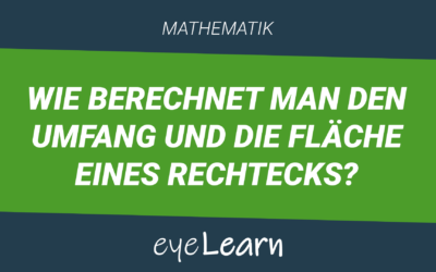 Wie berechnet man den Umfang und die Fläche eines Rechtecks?