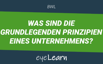 Was sind die grundlegenden Prinzipien eines Unternehmens?