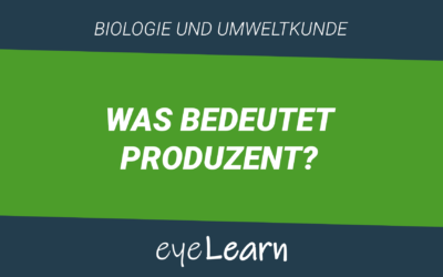 Was bedeutet Produzent?