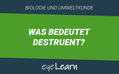 Was bedeutet Destruent?
