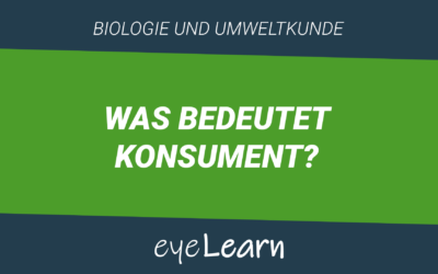 Was bedeutet Konsument?