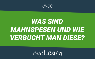 Was sind Mahnspesen und wie verbucht man diese?