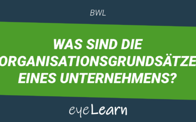 Was sind die Organisationsgrundsätze eines Unternehmens?